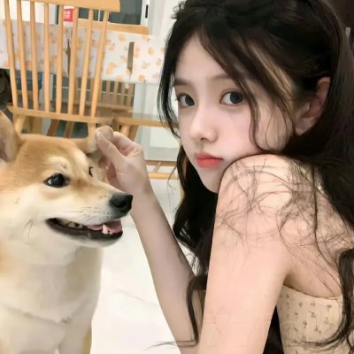 反贪风暴